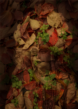 Regina di foglie, 2025 (digital mixed media