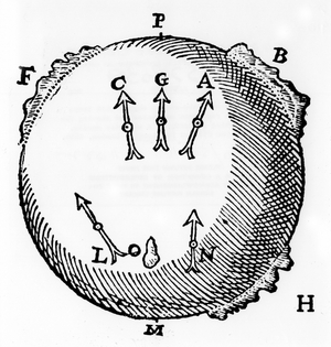 A terrella or globe-shaped magnet with lumps of iron to represent mountains and showing the north-seeking property of a magnetic needle. From William Gilbert De Magnete, London, 1600 