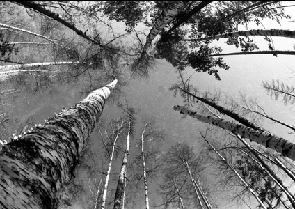 RUS, USSR, Irkutsk: Impressions from the USSR 1972 Siberia. Sibirien …, 1972 (photo)