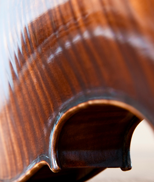 Violin