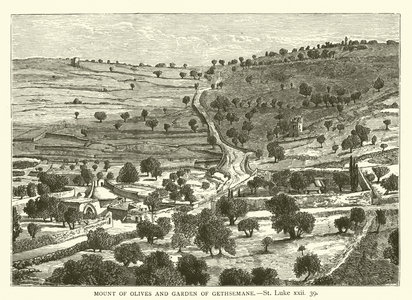 Mount of Olives and Garden of Gethsemane, St Luke, xxii, 39 (engraving)