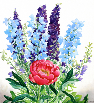 Blue Delphiniums