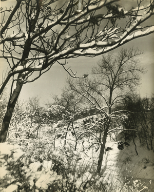 Winter in Central Park, N.Y, New York, USA, c.1920-38 (gelatin silver photo)