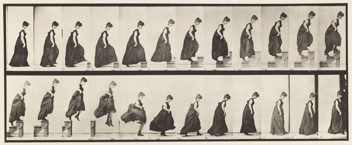 Plate 173. Ascending Steps and Jumping Off, 1885 (collotype on paper)