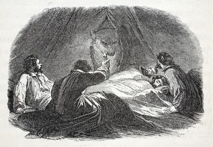 The Bear in Camp, illustration from 'The second Grinnell Expedition in Search of Sir John Franklin...', 1856 (engraving)

