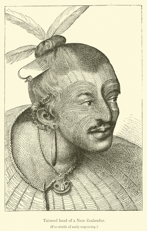 Tatooed head of a New Zealander (engraving)
