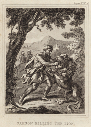 Samson killing the Lion (engraving)