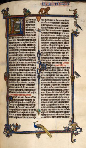 Historiated initial 'F'(uit) of an angel and Zacharias censing the altar, with a full bar-border with foliate cornerpieces, marginal animals (including a squirrel, lion, rabbit, birds, dog, peacock and hybrids) and shields with the arms of Edward I, Edward of Caernarvon, Richard, King of the Romans (Edward's I uncle), and his son Edmund, Earl of Cornwall, at the beginning of Luke