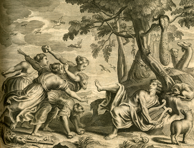 The death of Orpheus, attacked by the Maenads, 1702 (engraving)