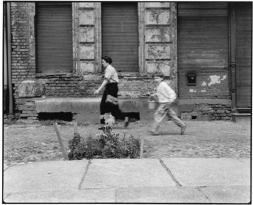 Berlin, Knaackstrasse, flowerbed, photo 1993, 1993 (photo)