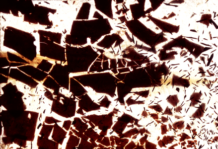 NA_50 [Retro Fleck], 2003 (35mm slide)