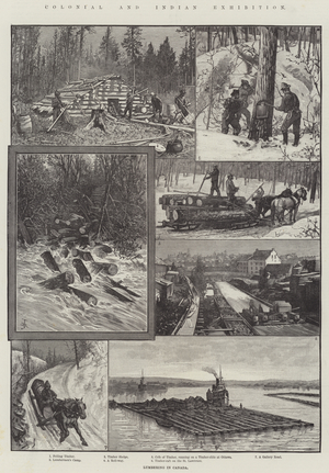 Colonial and Indian Exhibition, Lumbering in Canada (engraving)