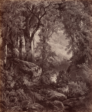 Solitude,1865 (photo)