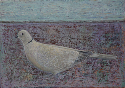I am the Collared Dove, 2016 (oil on wood)