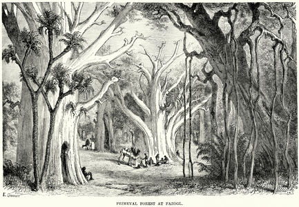 Primeval Forest at Fazogl (engraving)