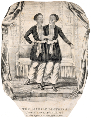 Thailand / USA: Chang and Eng, the conjoined twins whose condition and subsequent fame led to the use of the term 'Siamese Twins', at the Egyptian Hall, London, 1830