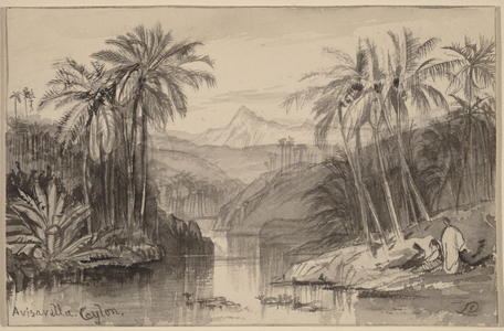 Avisavella, Ceylon, 1884-1885 (watercolour)