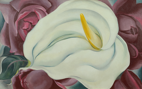 Calla Lily with Roses, 1926 (oil on canvas)