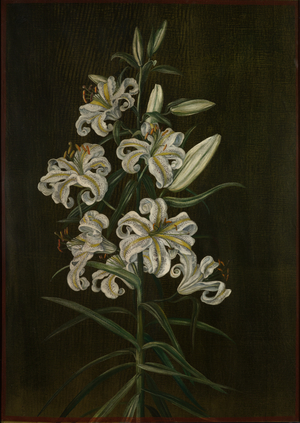 A Japanese lily, 19th century (oil on board)