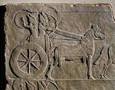 Assyrian war chariot with charioteer …