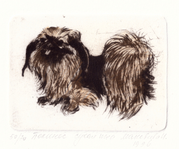 Pekinese Dog, 1994 (drypoint)