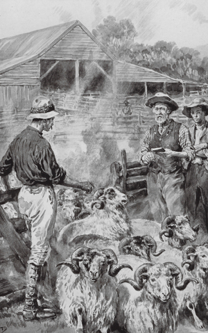 A Sheep Station on Canterbury Plains (litho)