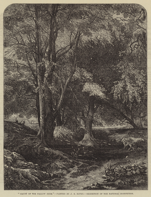 Haunt of the Fallow Deer (engraving)