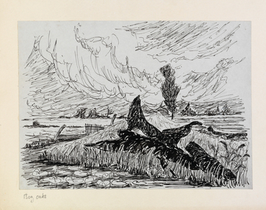 Bog Oaks, from the series Cambridgeshire Subjects (pen & ink on paper)