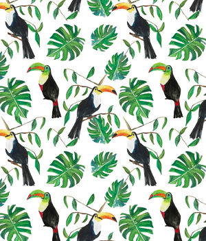 Toucan, 2017 (watercolour, gouache and photoshop)
