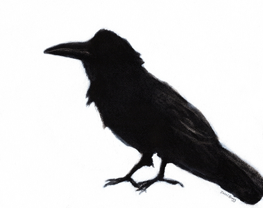 Raven at Baker Beach, c. 2023 (mixed media on paper)
