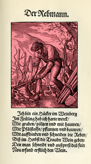 The Winegrower