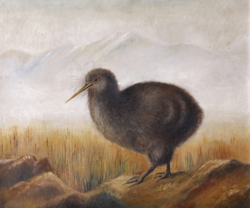 A Kiwi (Apertya), 1904 (oil on canvas)