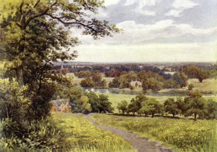 Magna Charta Island (colour litho)