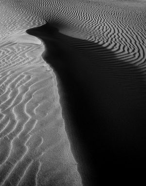 Desert Requiem, 2021 (photo)