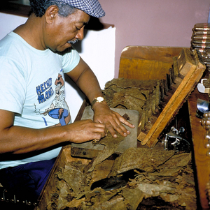 Production of cigars, 1999 (photo)