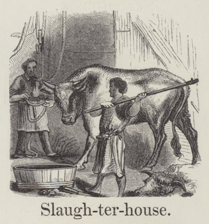Slaughterhouse (engraving)