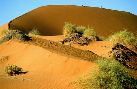 Dune in Sossusvlei, 1996 (photo)