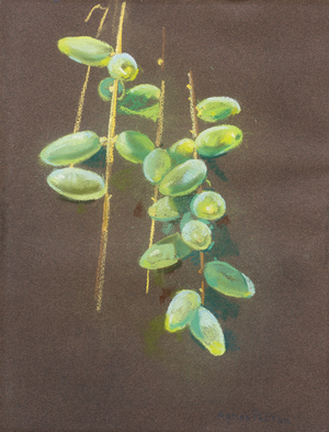 Green Dates, c. 1935 (pastel)