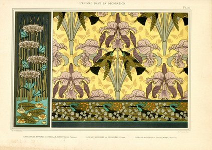 Art Nouveau pattern designs with dragonflies, orchids and hummingbirds (litho)