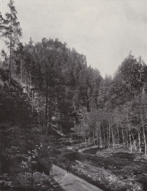 Partie aus dem Polenztal (b/w photo)