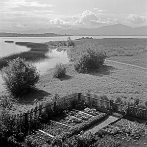 A little orchard at Seebruck with view to Chiemsee lake, Germany 1930s (b/w photo)