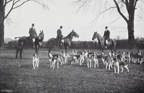 Cambridge: Master and Whips, University Drag (b/w photo)