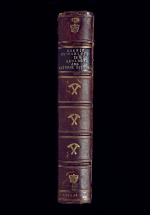 Book spine of Darwin's 'Researches'