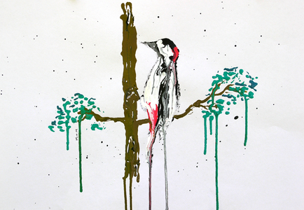 Woodpecker, 2026 (ink on paper)