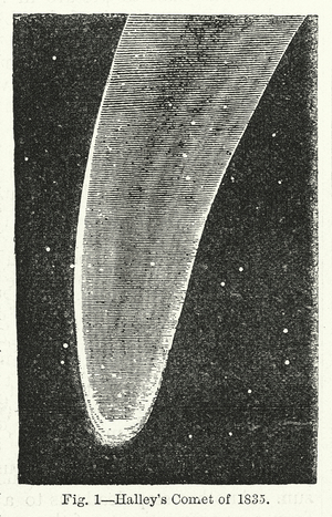 Halley's Comet of 1835 (engraving)