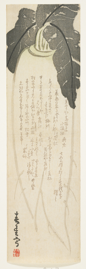 Daikon radish, January 1864 (colour woodblock print)