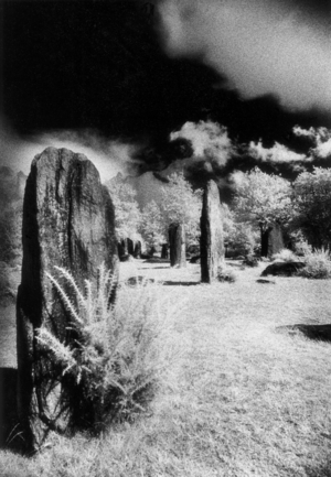 Menhirs of Monteneuf, Brittany, France (b/w photo)