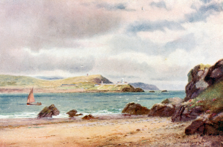 Entrance to Cork Harbour (colour litho)