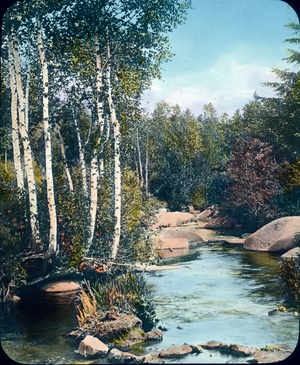 Triberg, Gutachtal