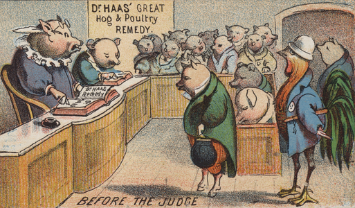 Hog in Court (chromolitho)